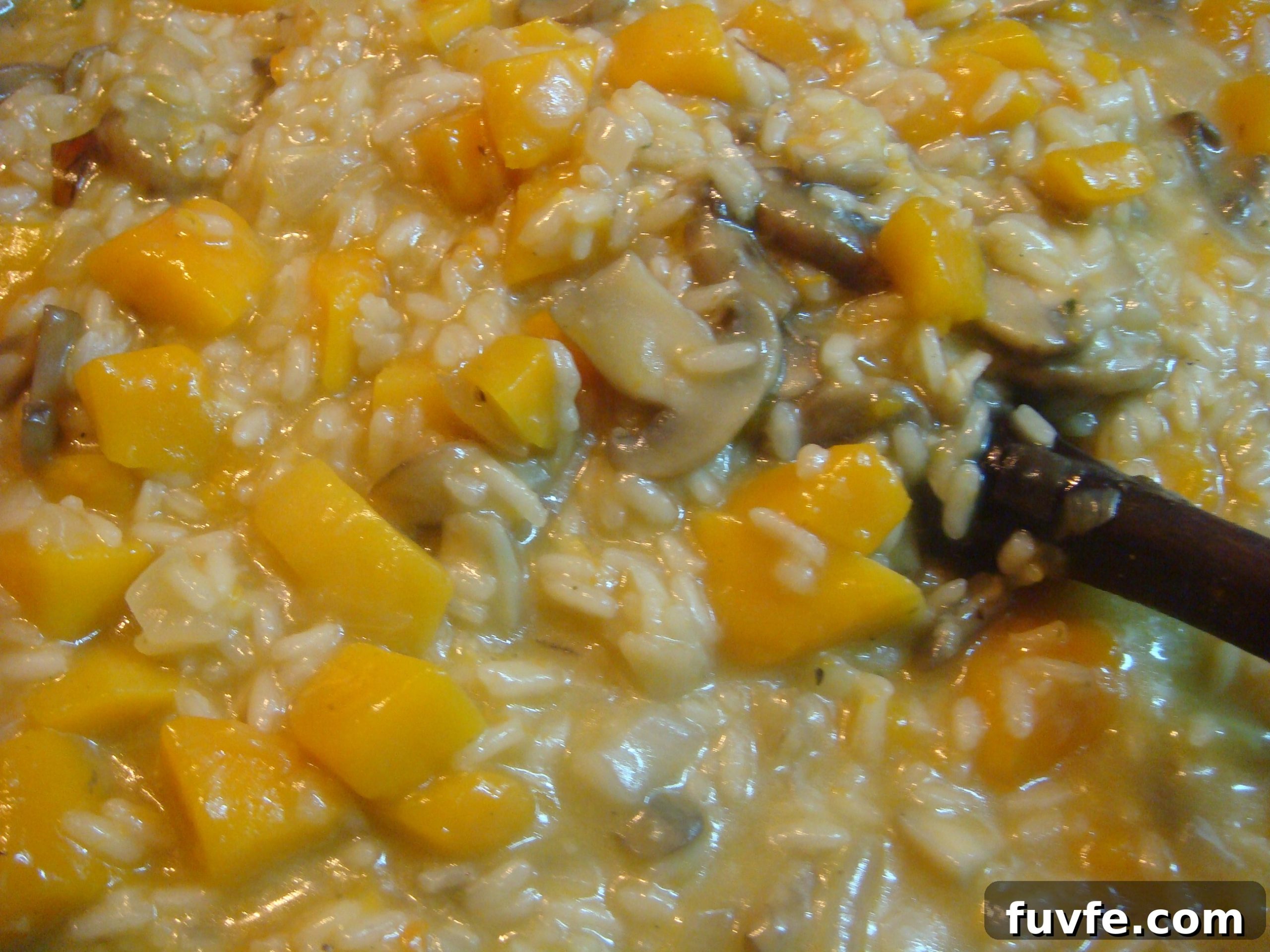Creamy Butternut Squash and Mushroom Risotto Recipe 12 DSC06837