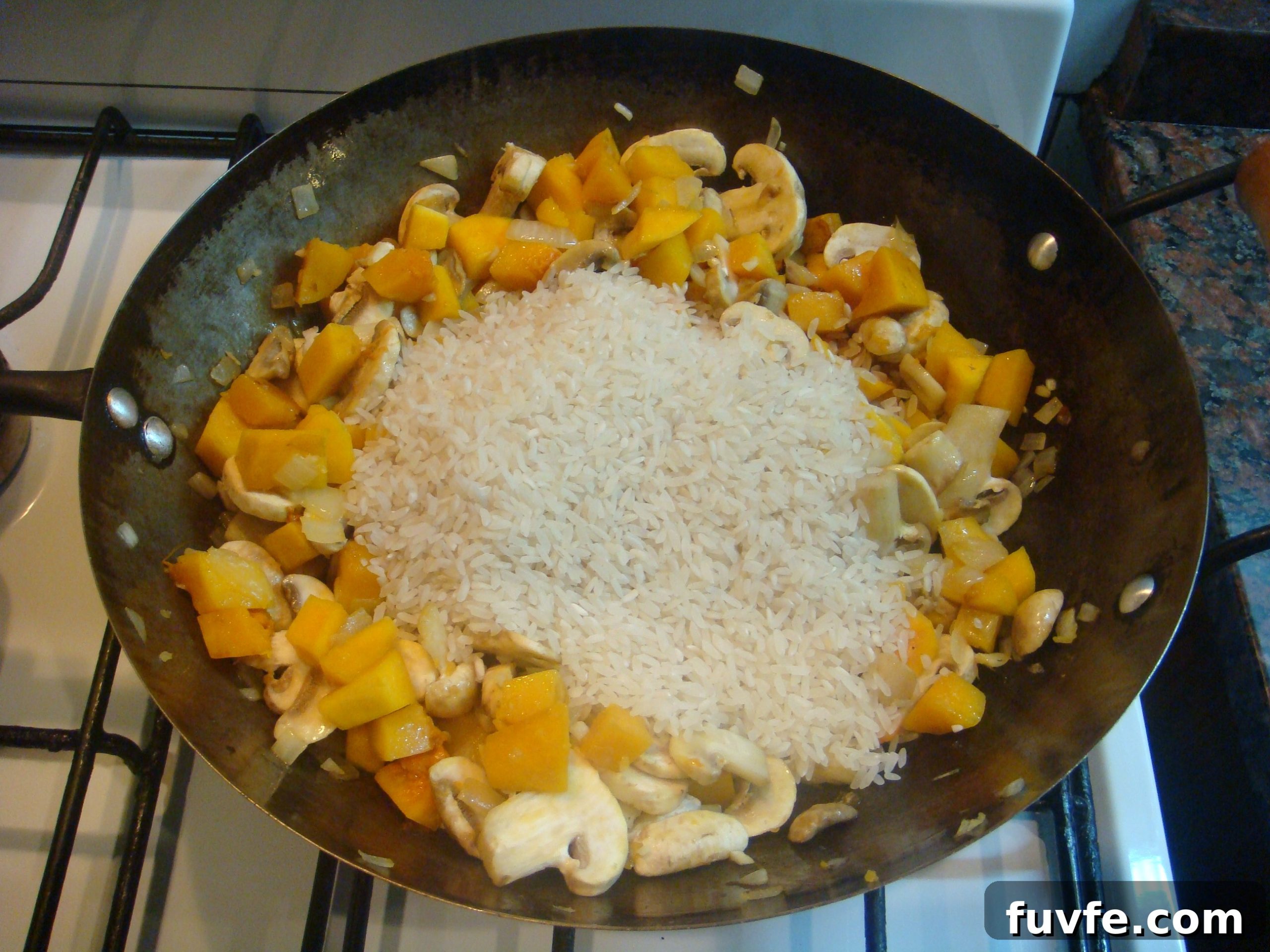 Creamy Butternut Squash and Mushroom Risotto Recipe 7 DSC06829