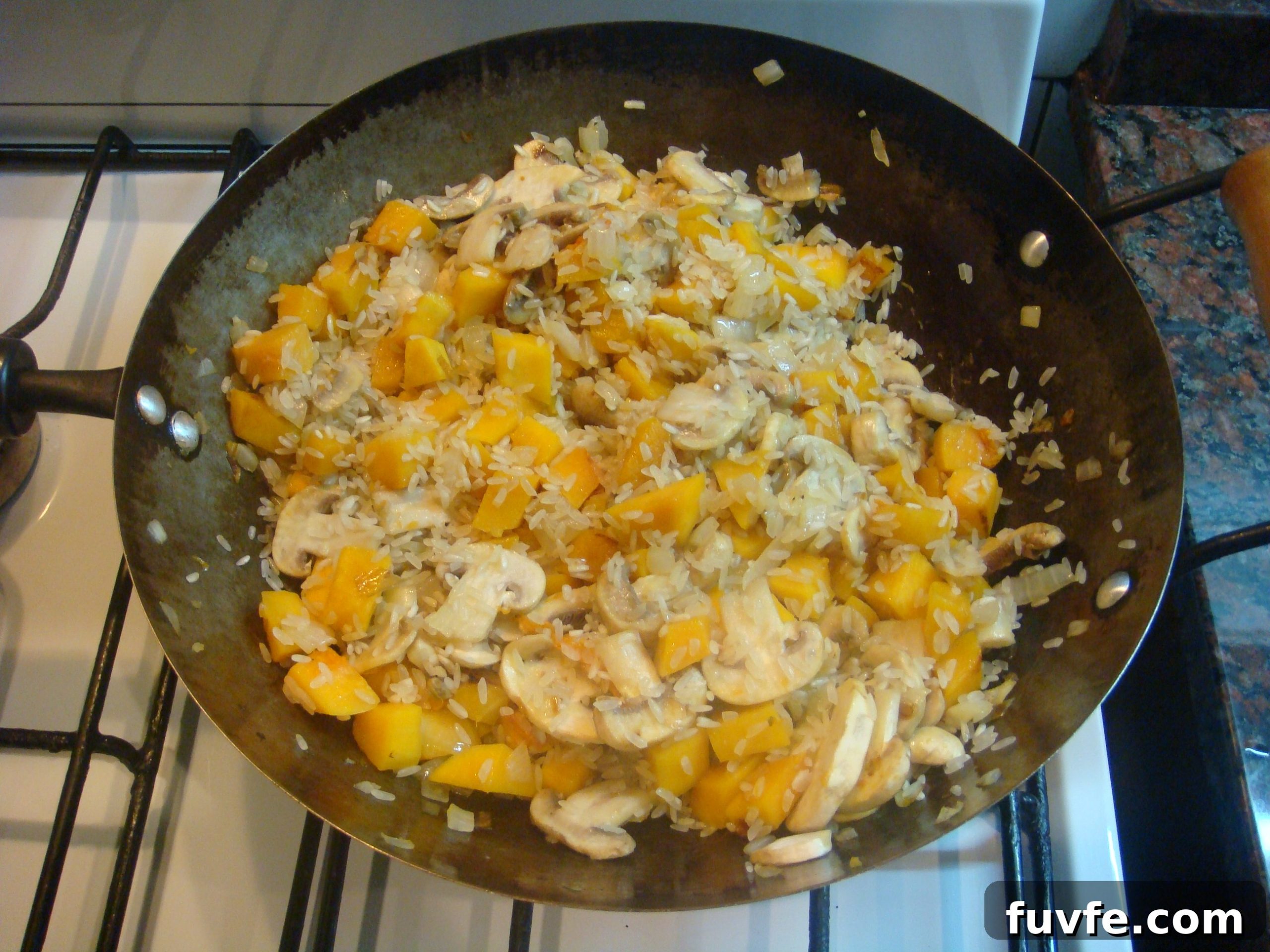Creamy Butternut Squash and Mushroom Risotto Recipe 8 DSC06830