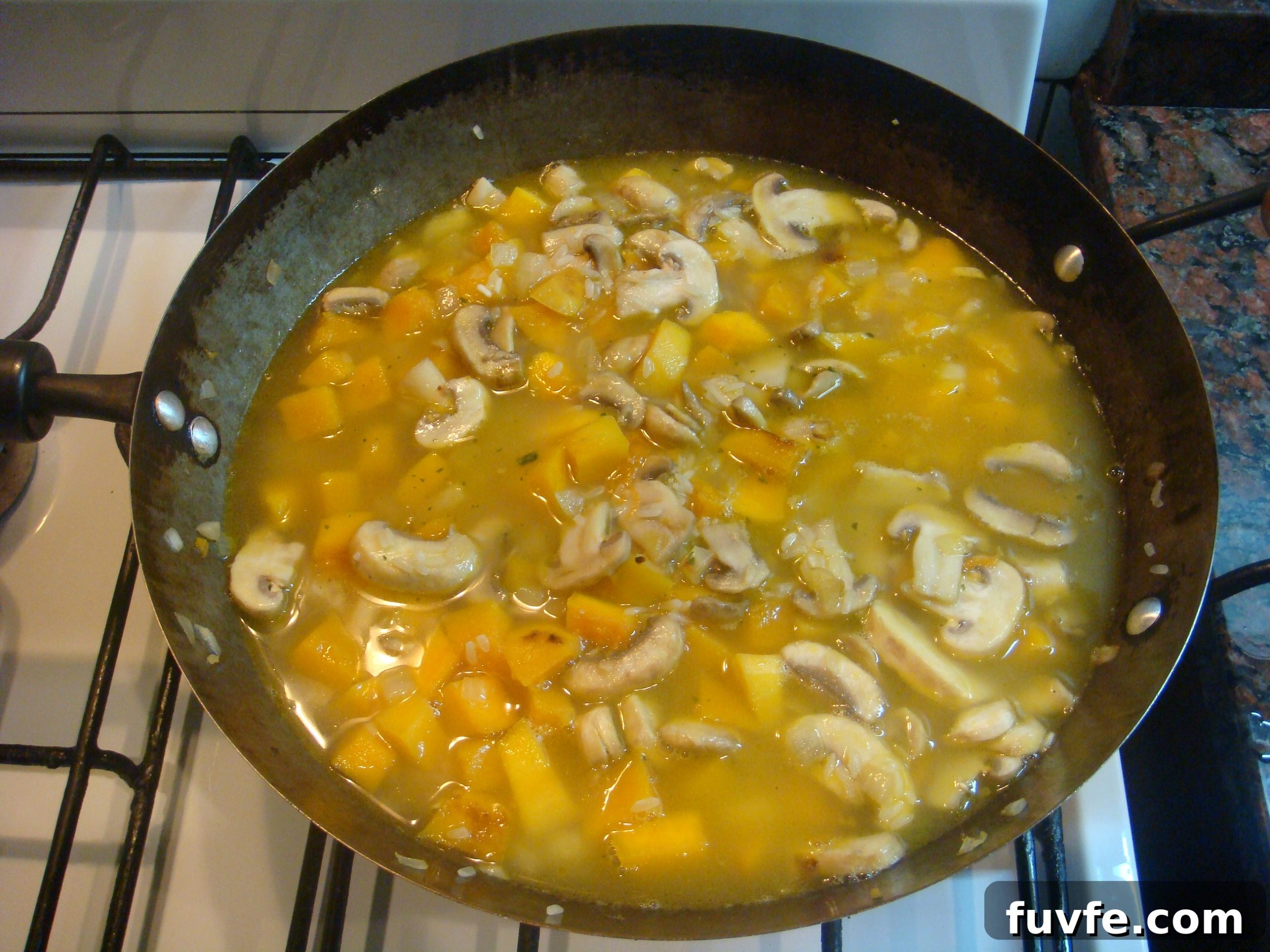 Creamy Butternut Squash and Mushroom Risotto Recipe 9 DSC06831