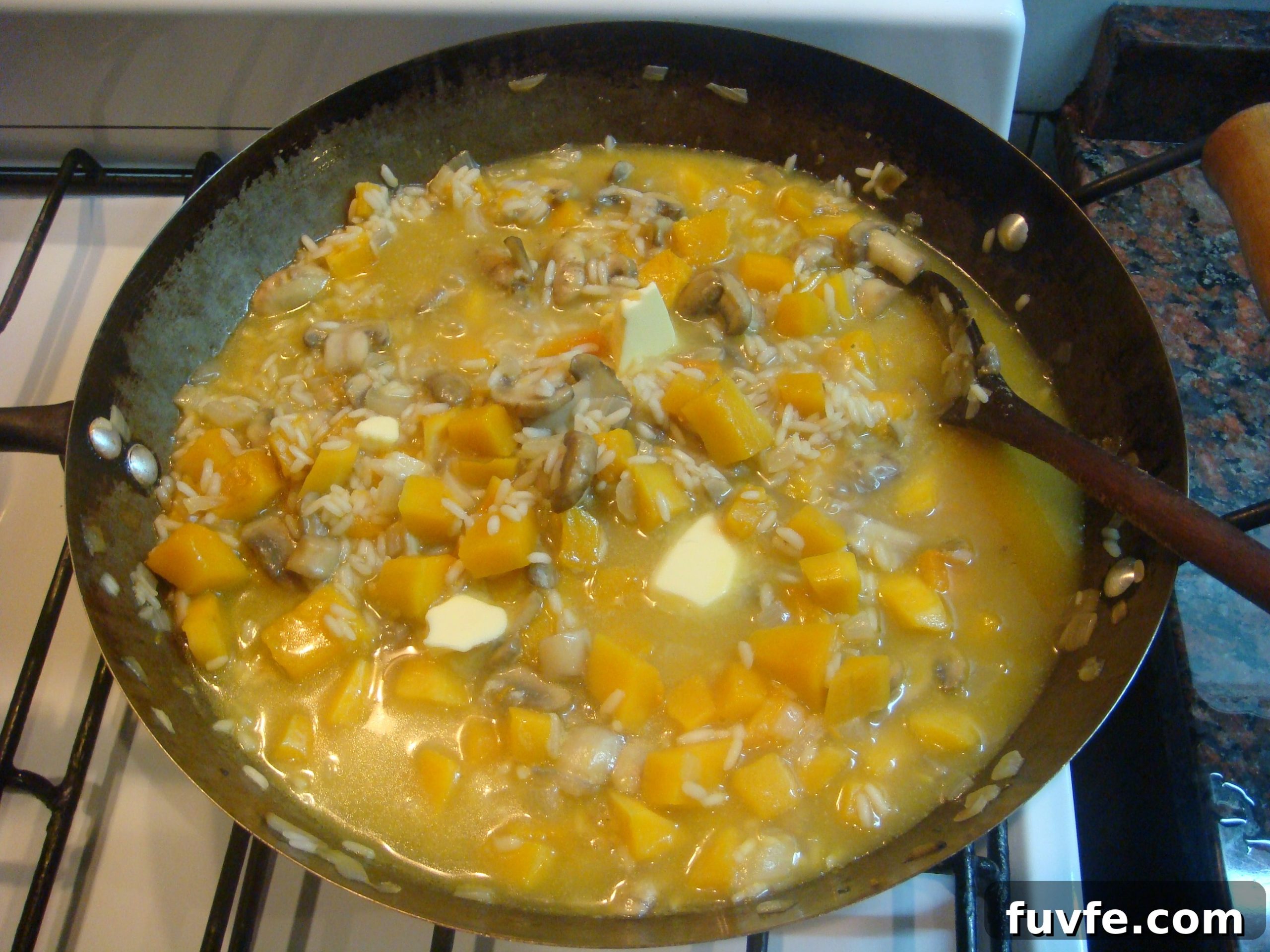 Creamy Butternut Squash and Mushroom Risotto Recipe 10 DSC06833