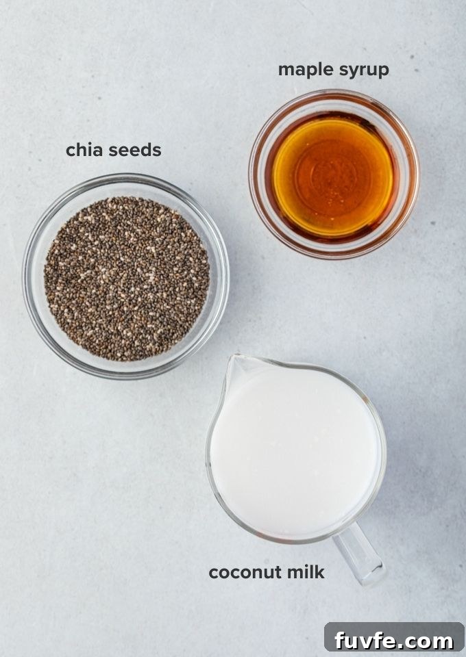 Chia seed pudding recipe ingredients