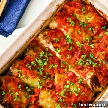 cabbage rolls in a casserole dish