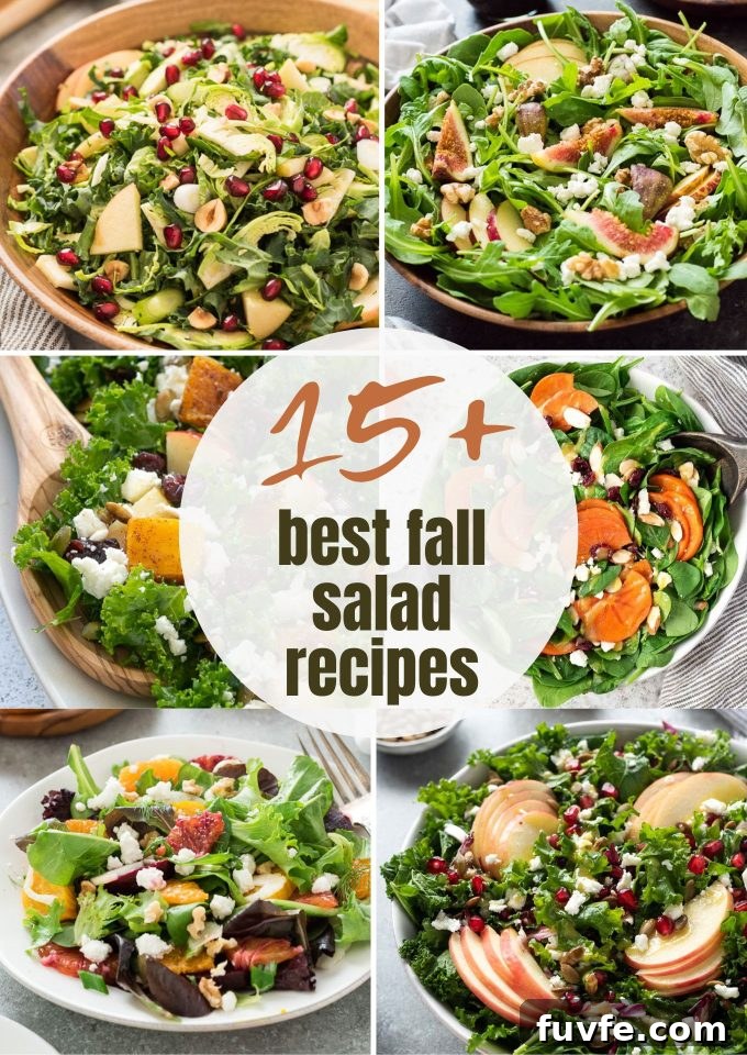 Best fall salad recipes