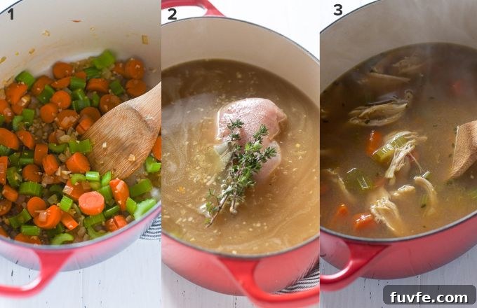 How to make chicken vegetable soup