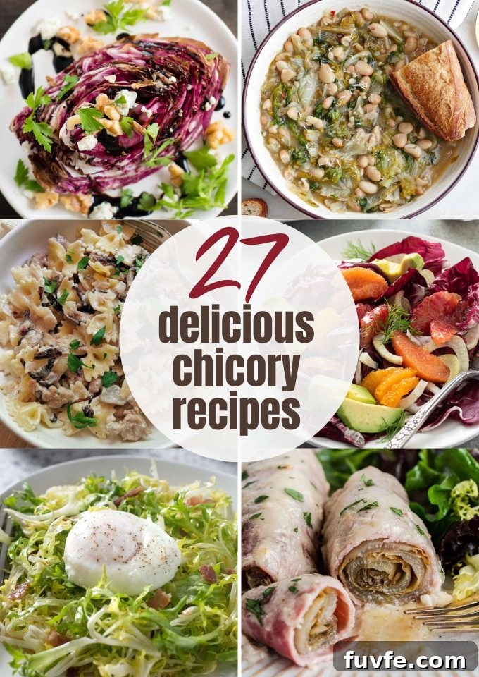 27 Chicory Recipes long pin