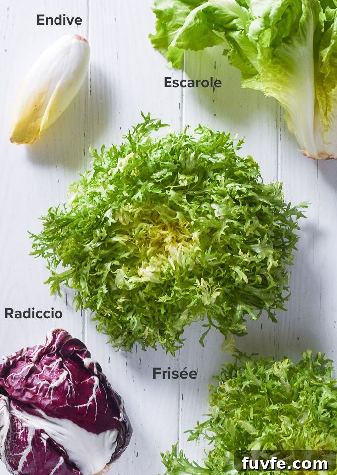 27 Chicory Recipes: How to Buy and Cook Chicory 5 Varieties of chicory lettuce