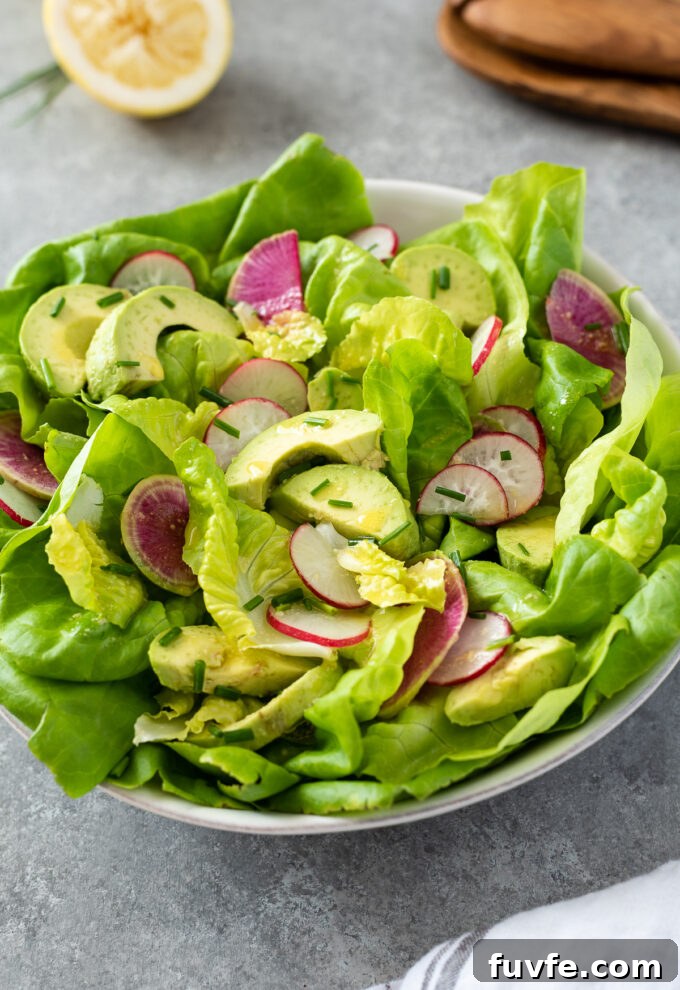 Butter lettuce salad in a bowl with avocado and radish.