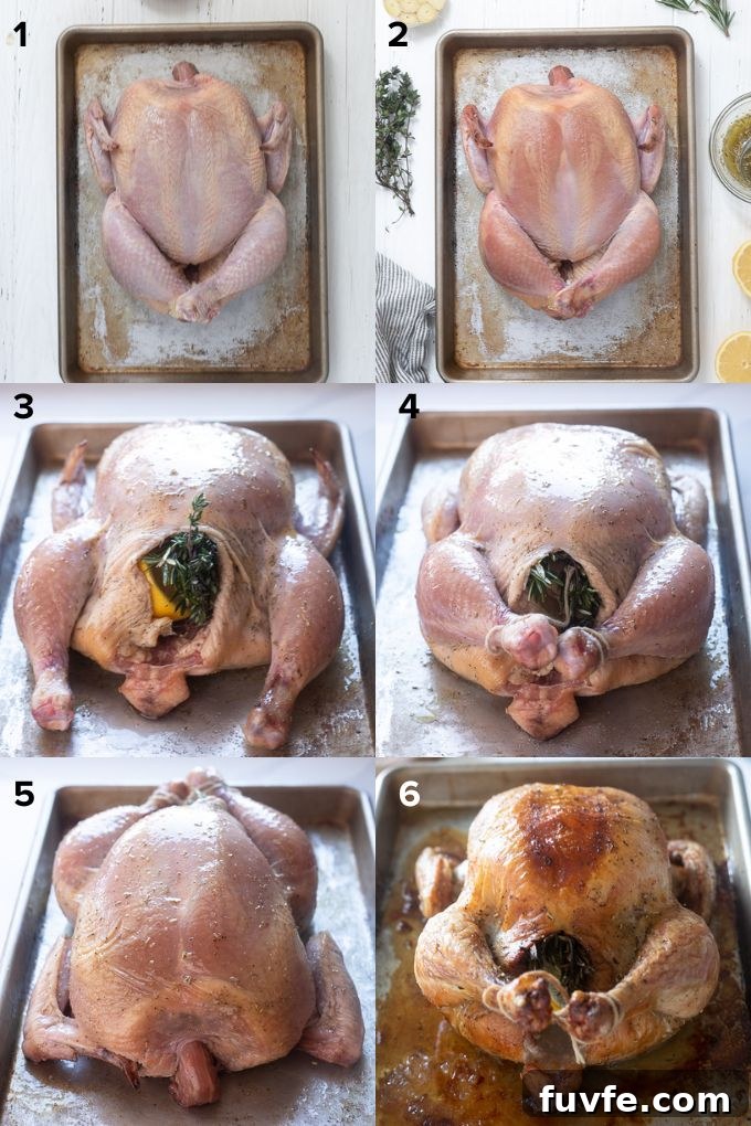 Roasted Lemon-Garlic Chicken with Crispy Skin 5 How to roast a chicken