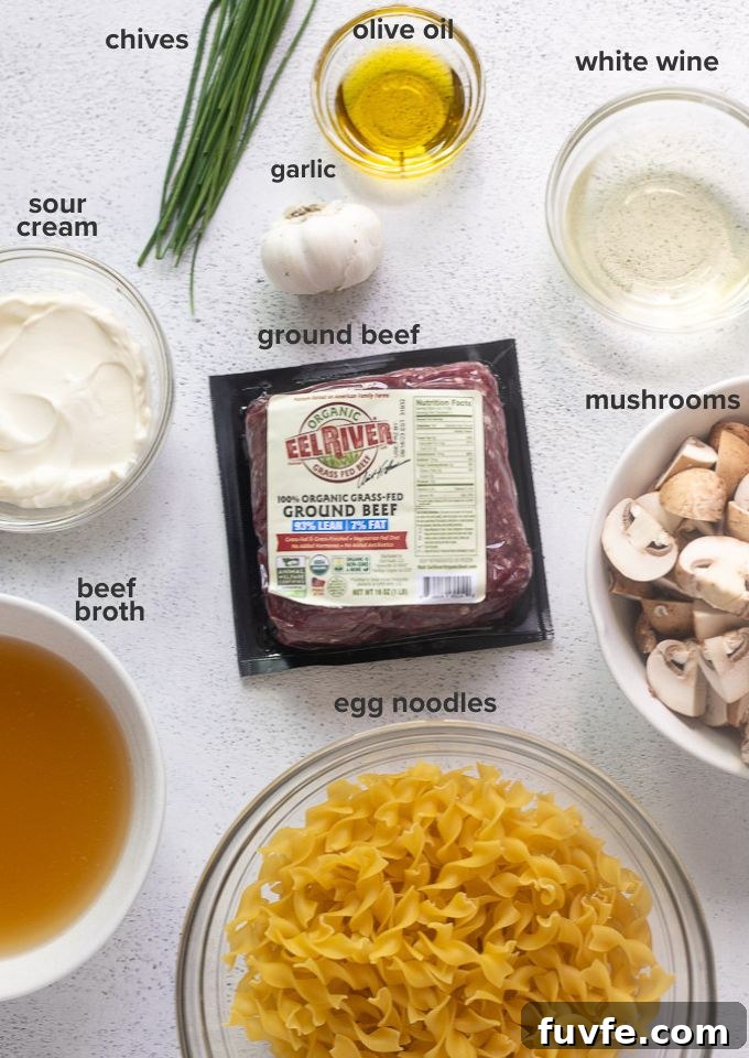 ground beef stroganoff recipe ingredients