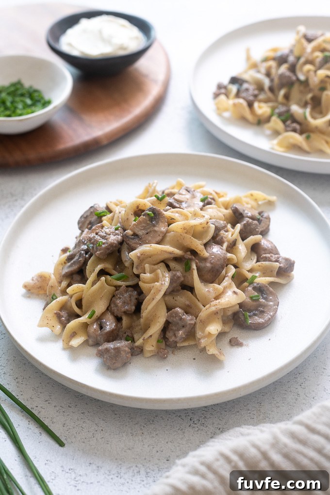 Ground beef stroganoff on a white plate
