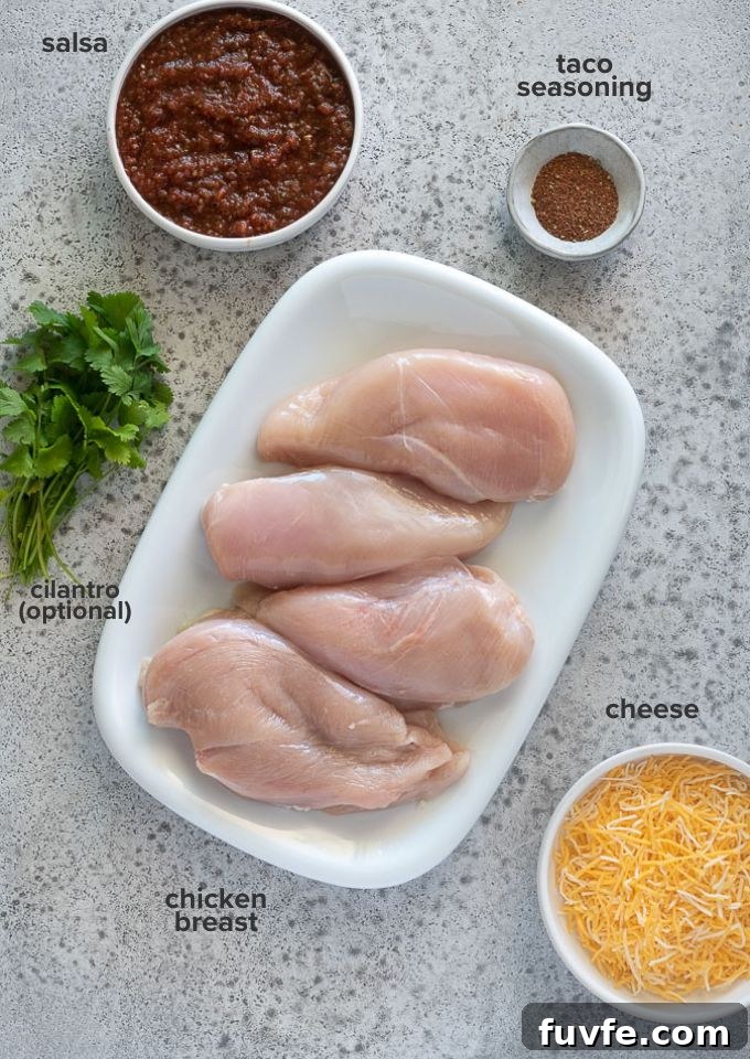salsa chicken recipe ingredients