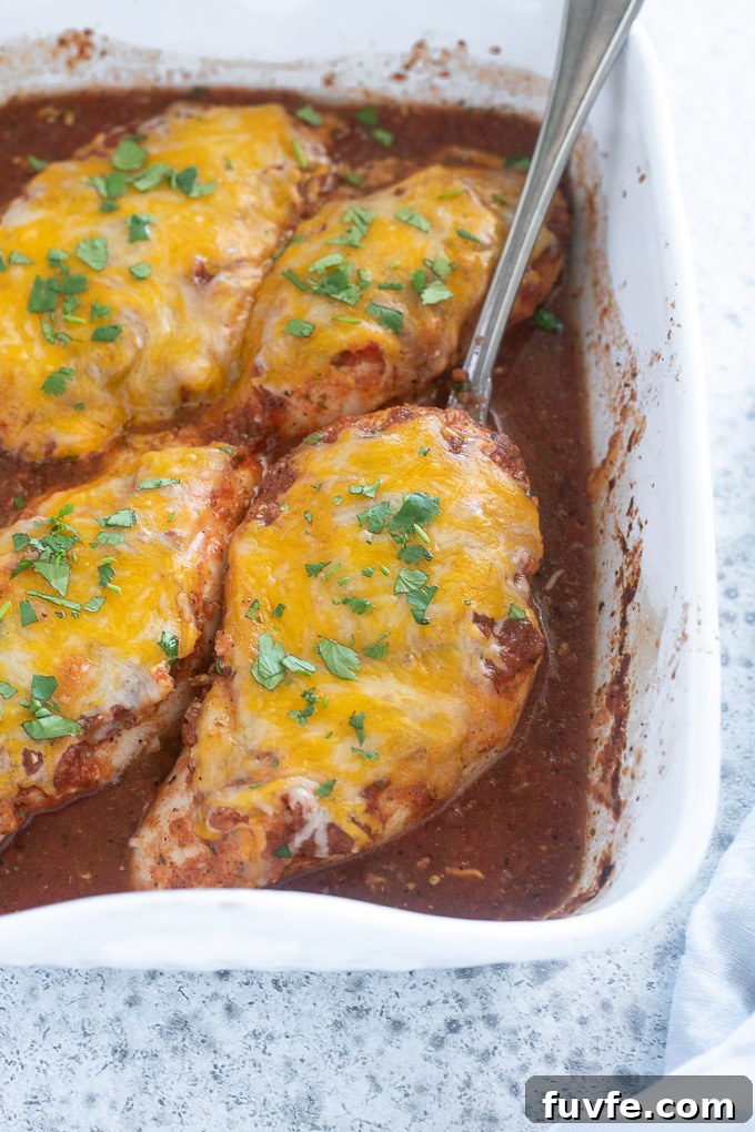 Spoon lifting salsa chicken out of pan