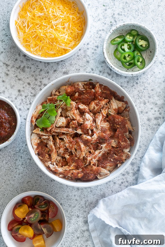 shredded salsa chicken in a bowl with topping
