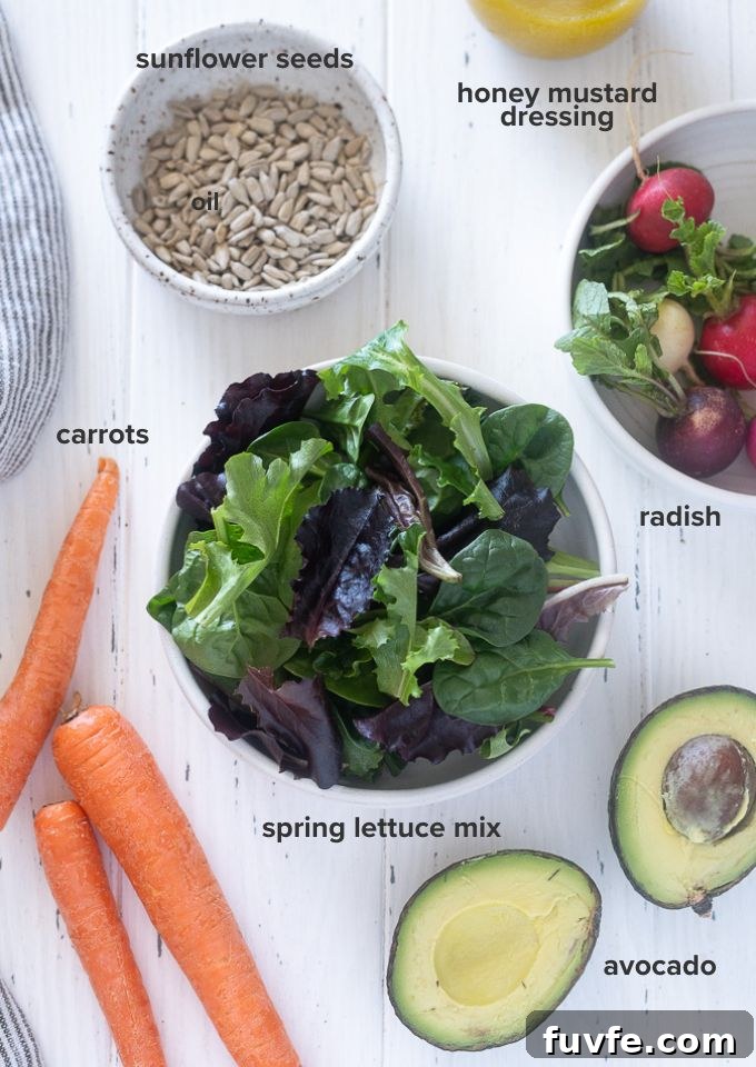 Spring lettuce salad ingredients