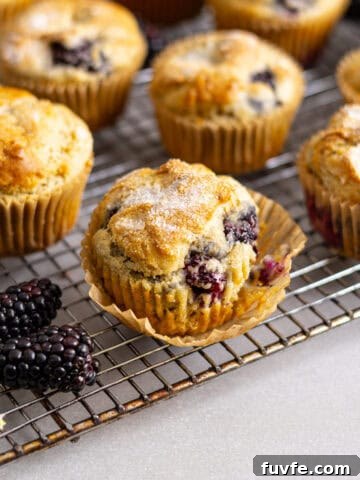 Gluten free blackberry muffins cooling on a wire rack on a gray table.