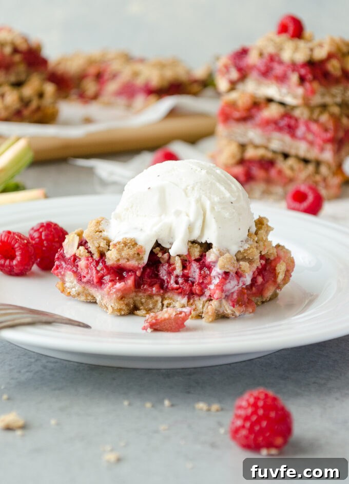 Raspberry rhubarb crumble bars with ice cream on top.
