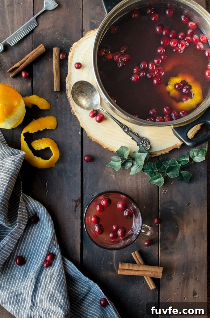 mulled-cranberry-apple-cider-recipe-reedit