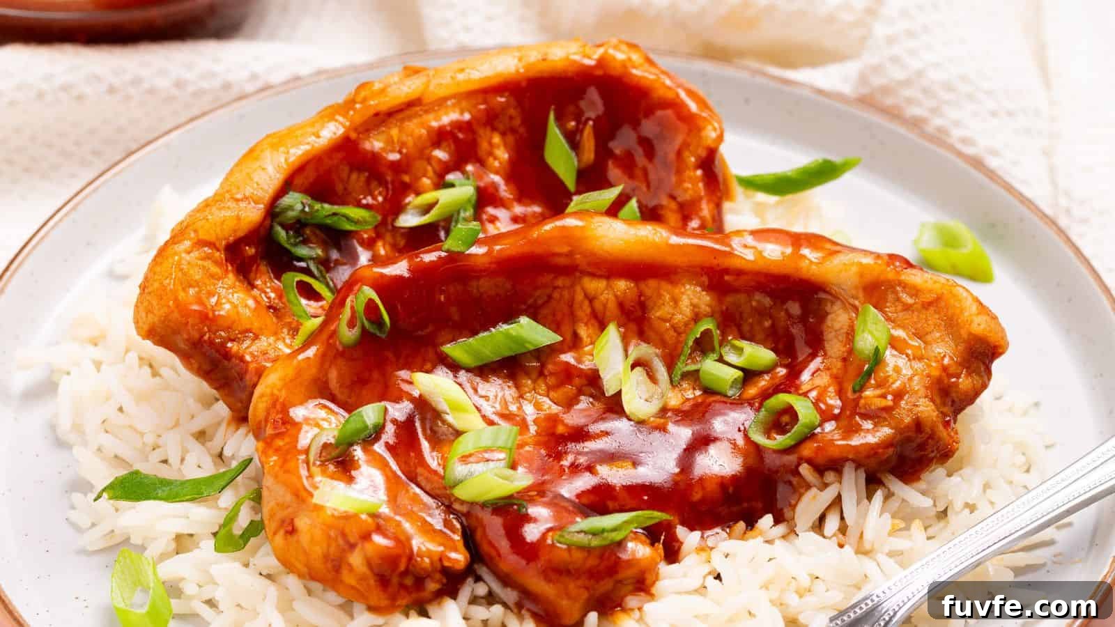 Slow cooker pork chops with rice and sauce on a plate.