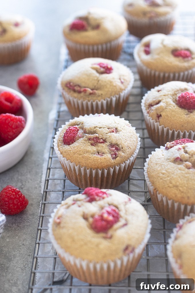 Raspberry muffins on a wire rack
