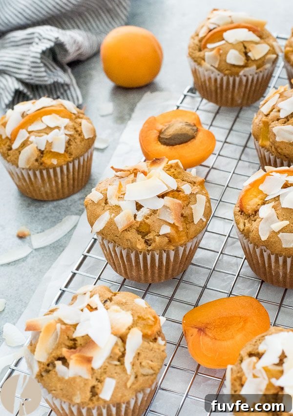 Fresh Apricot and Coconut Muffins Recipe 4 Apricot muffins on wire rack