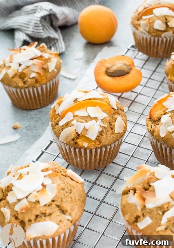 Fresh Apricot and Coconut Muffins Recipe 5 Apricot muffins with coconut flakes