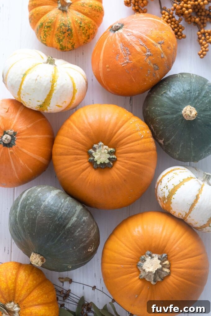 35+ Pumpkin Recipes and How to Choose and Cook Pumpkins 3 Variety of pumpkins including sugar pie, kabocha and red kuri