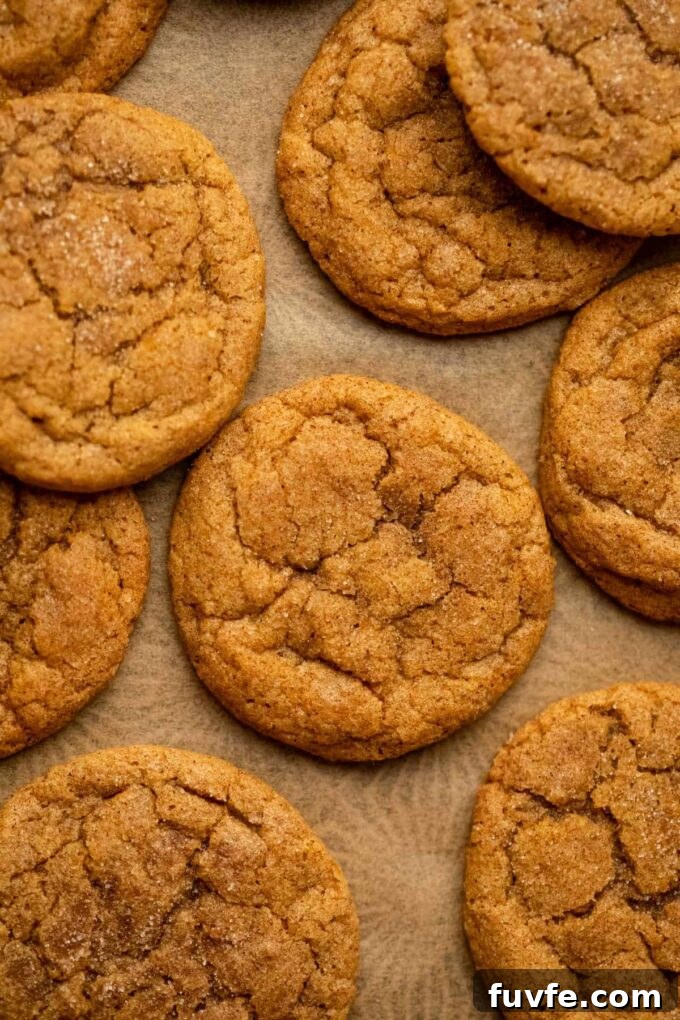 Pumpkin Snickerdoodles on parchment paper.