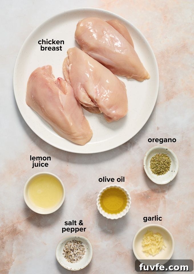 Authentic Greek Chicken Souvlaki Recipe with Tzatziki 3 Souvlaki chicken recipe ingredients.