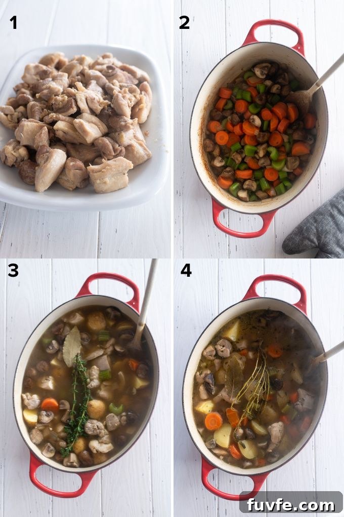 How to make chicken stew