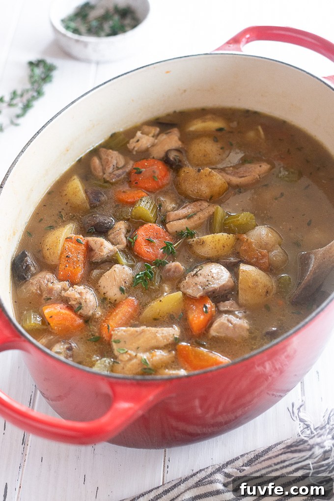 Dutch oven of chicken vegetable stew