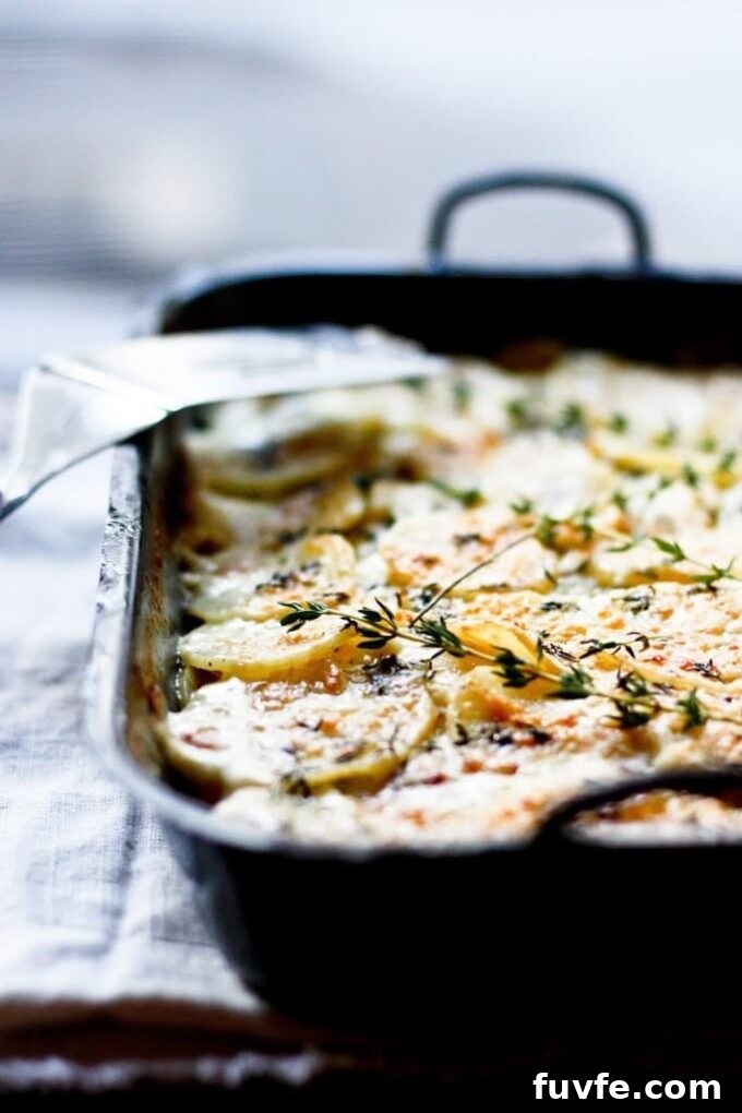 Parsnip Recipes: Cooking, Storage and Produce Guide 11 img 58043 12