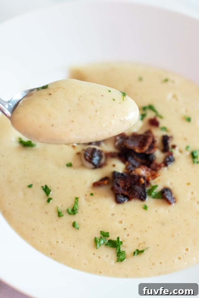 Parsnip Recipes: Cooking, Storage and Produce Guide 14 img 58043 19