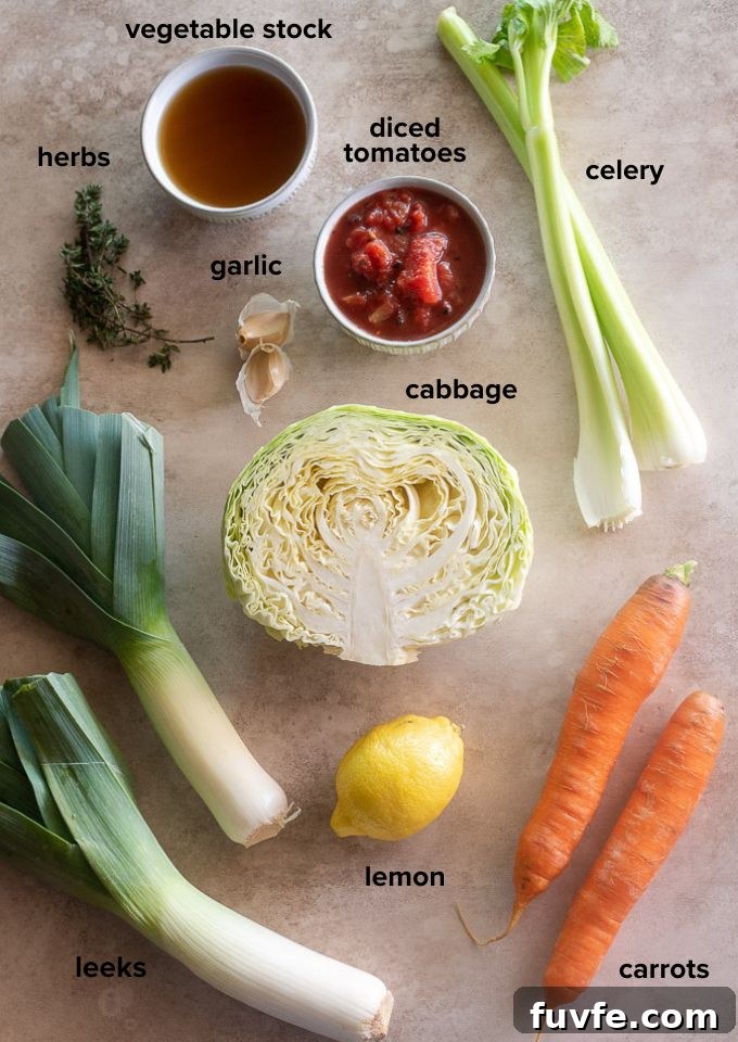 Cabbage soup ingredients.