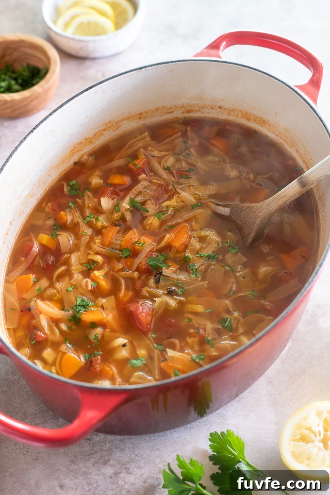 Cabbage vegetable soup in a Dutch oven