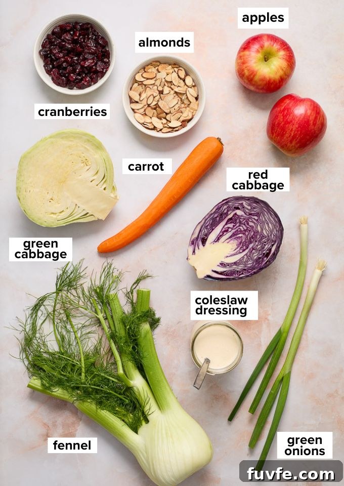 apple fennel slaw ingredients