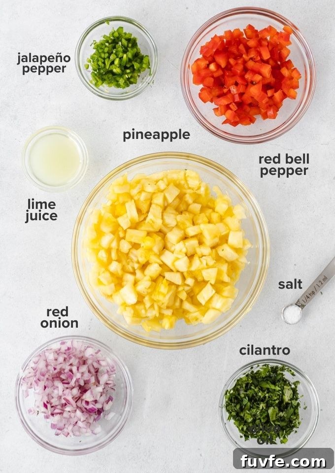 Zesty Pineapple Salsa Recipe with Lime and Cilantro 3 Pineapple salsa ingredients