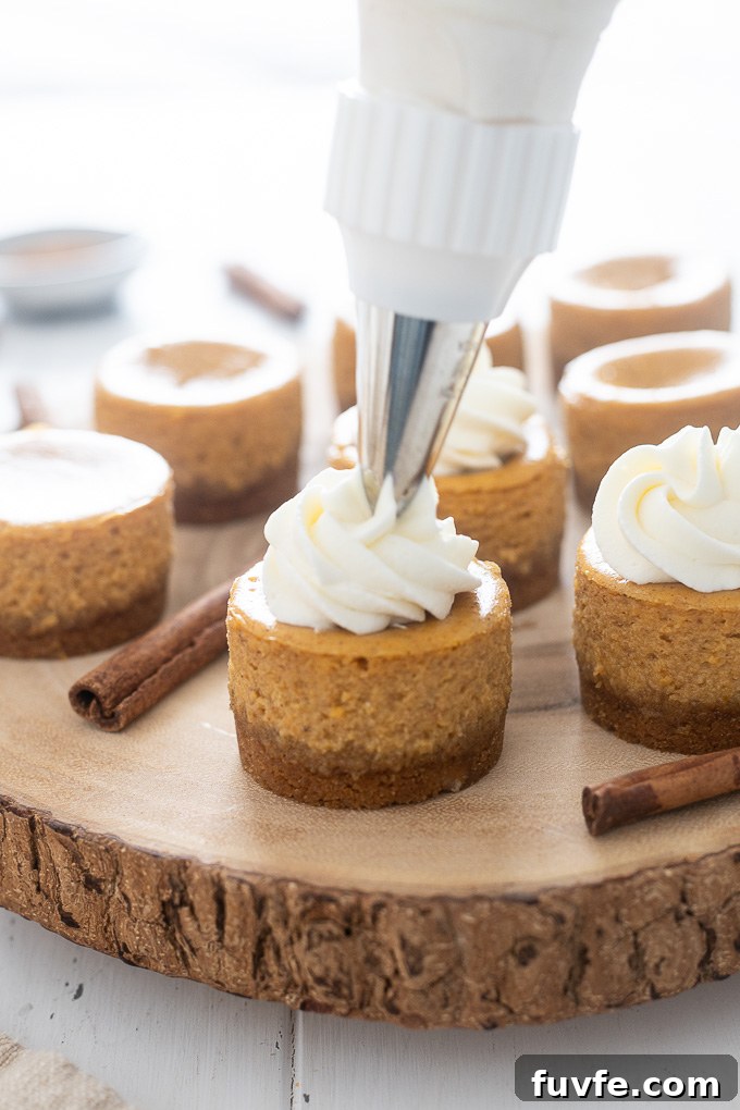 Pumpkin cheesecake with whipped cream piped on top