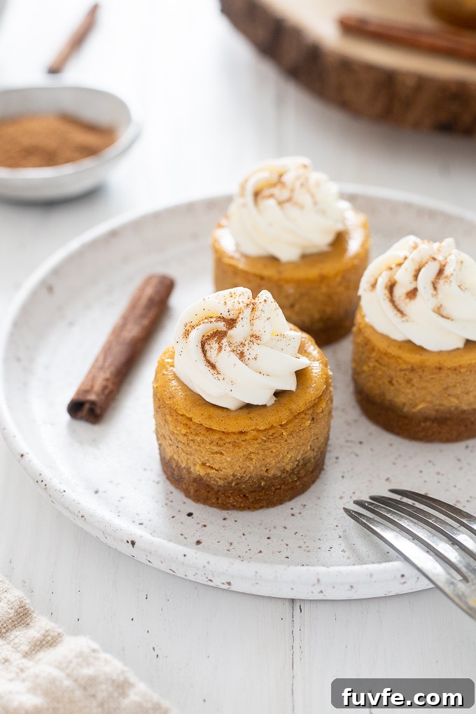 Pumpkin pie cheesecakes on a white plate