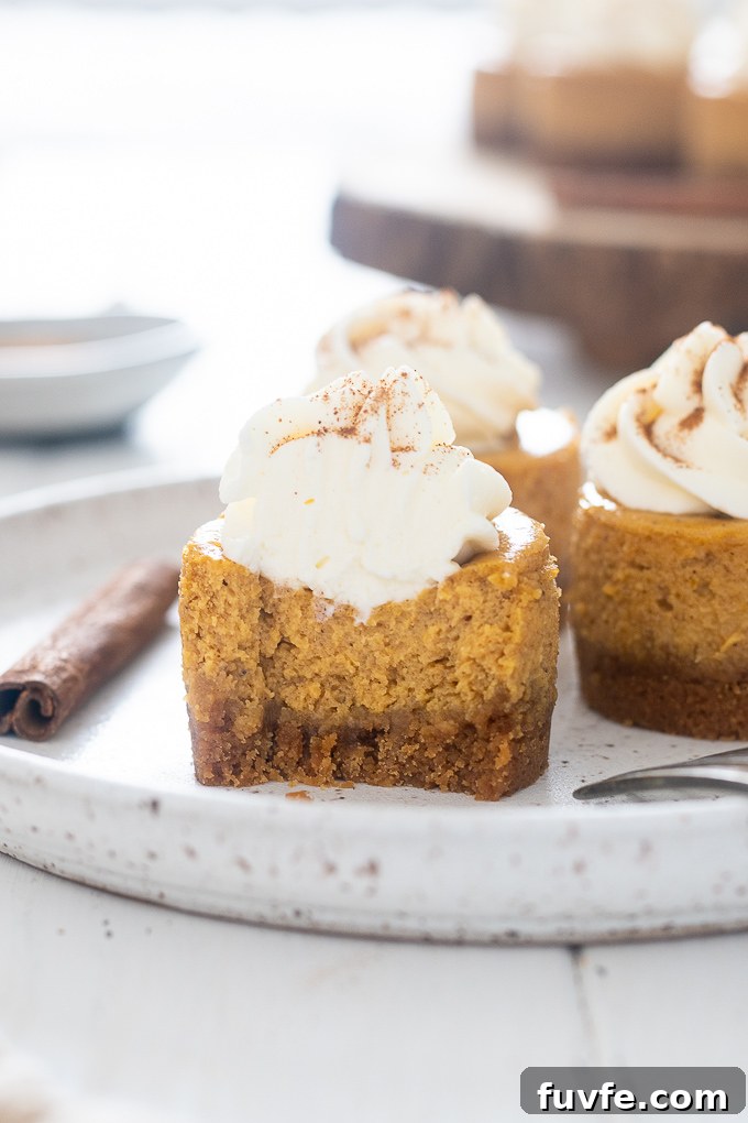 Pumpkin spice cheesecake cut in half on a plate