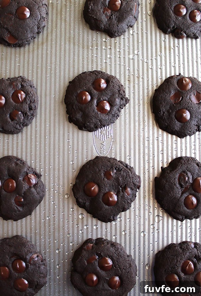 Gluten Free Chocolate Cookies | robustrecipes.com
