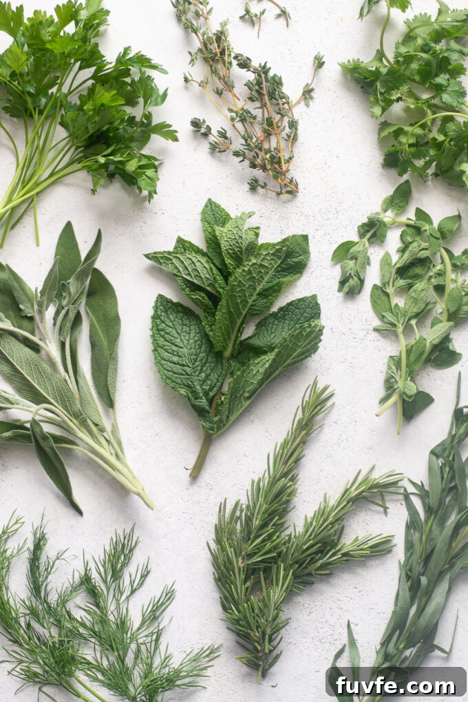 A variety of types of fresh herbs to cook with.