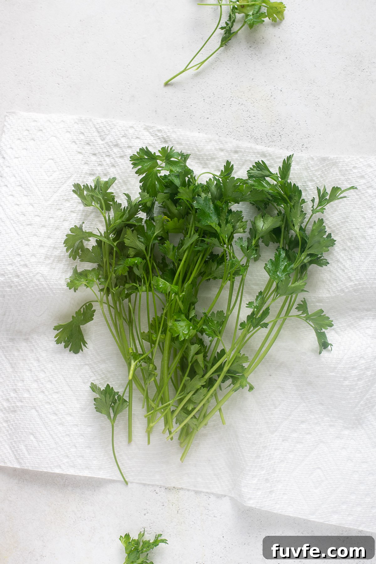 Washed parsley blotted dry on paper towels.