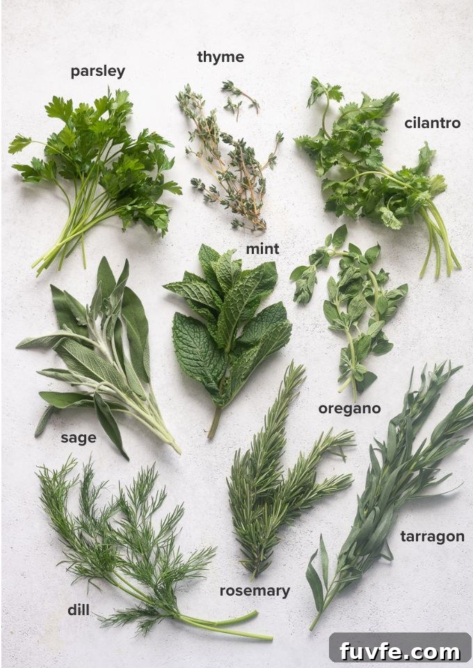 Common fresh herbs for cooking.