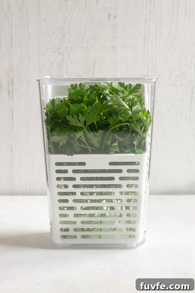OXO herb keeper for storing fresh herbs.