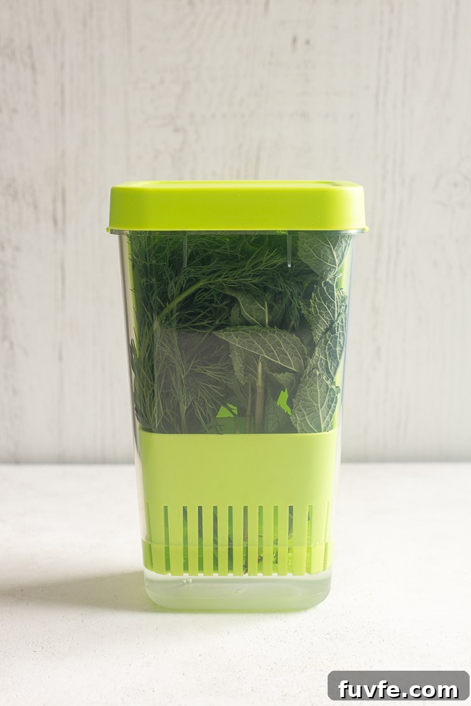 Luvcosy herb keeper for storing fresh herbs.