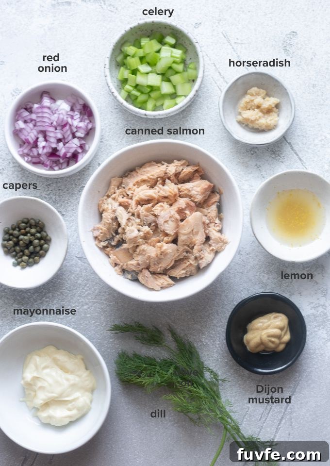 Creamy Canned Salmon Salad Recipe with Lemon and Dill 4 Salmon salad recipe ingredients.