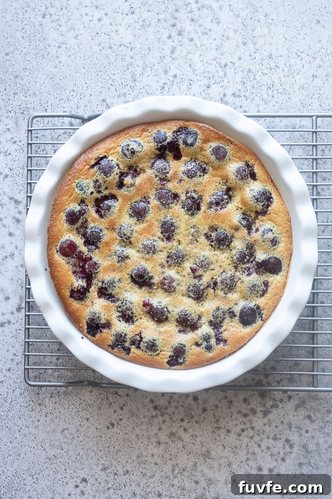 Baked cherry clafoutis on a wire rack.