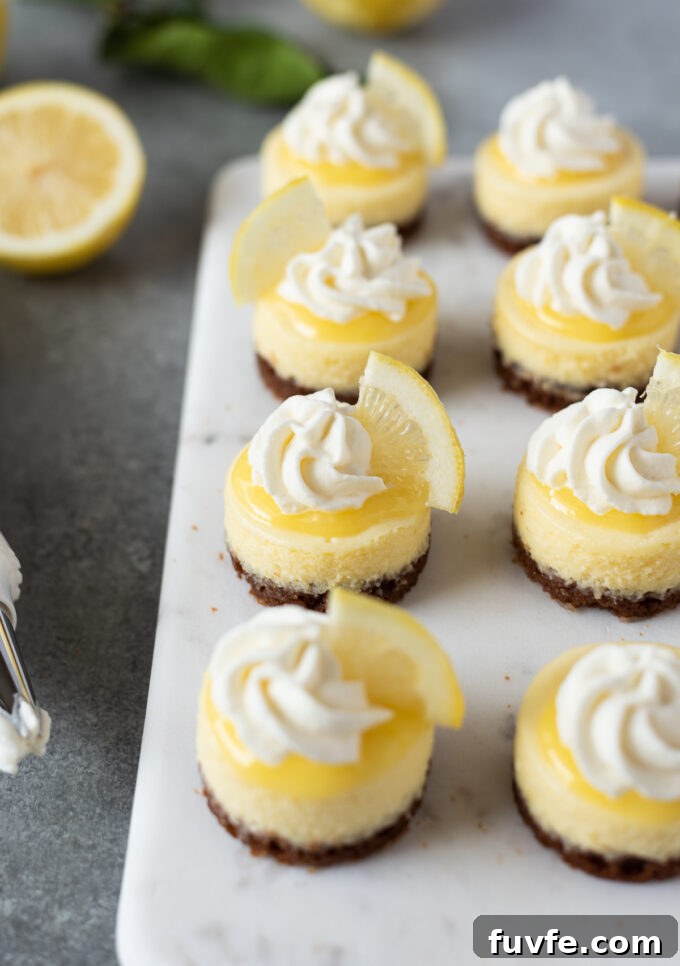 Mini lemon cheesecakes topped with lemon curd and whipped cream.