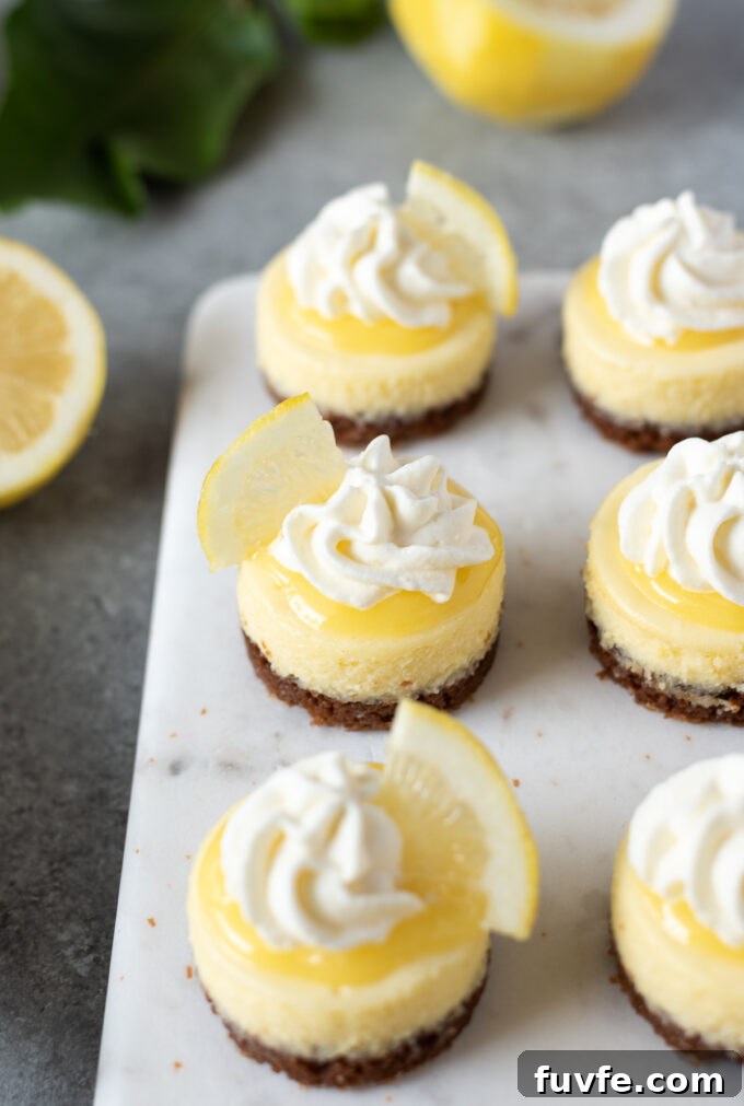 Mini lemon cheesecakes with gingersnap cookie crust topped with whipped cream.